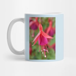 Fuchsia  &#39;Pink Fizz&#39; Mug